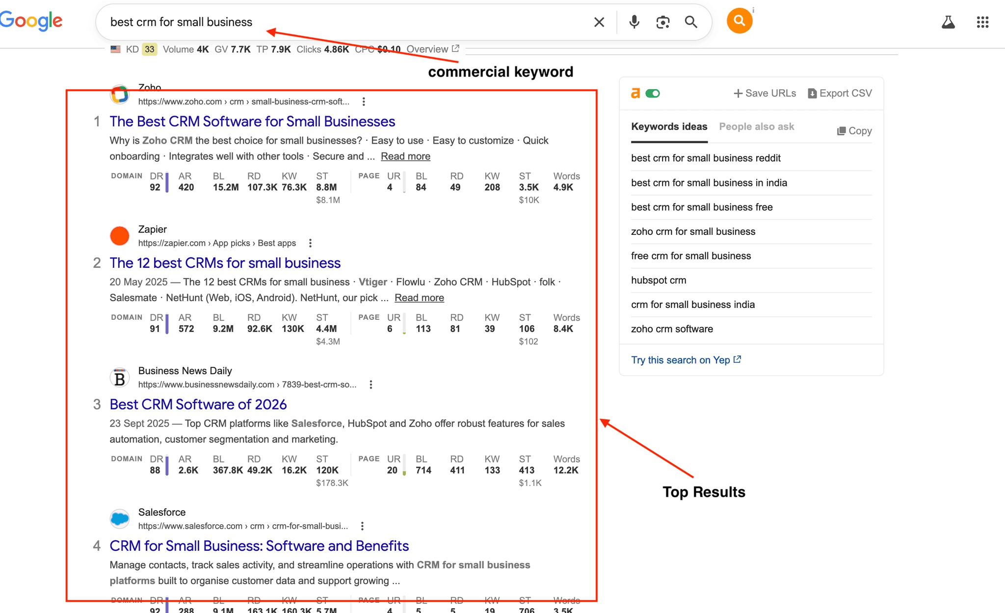 Google search results showing domains ranking for a commercial keyword